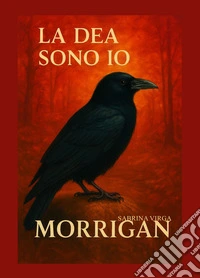 La Dea sono io: Morrigan libro