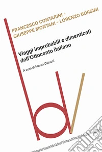 Viaggi improbabili e dimenticati dell'Ottocento italiano libro