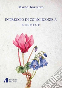 Intreccio di coincidenze a nord est libro
