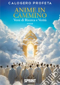 Anime in cammino libro