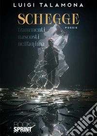 Schegge. Frammenti nascosti nell'anima libro
