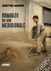 Romanzo di un meridionale libro