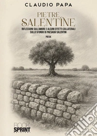 Pietre salentine libro