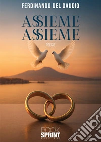 Assieme assieme libro