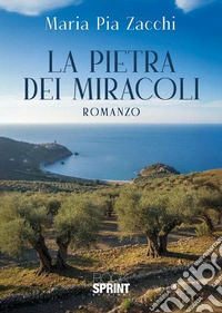 La pietra dei miracoli libro