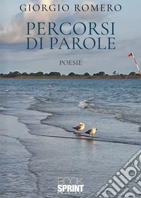 Percorsi di parole libro