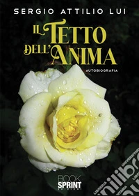 Il tetto dell'anima libro