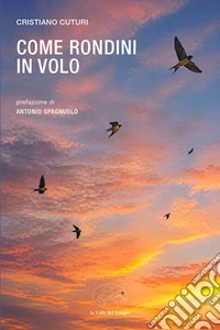 Come rondini in volo libro