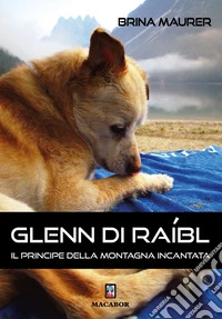 Glenn di Raibl. Il principe della montagna incantata libro