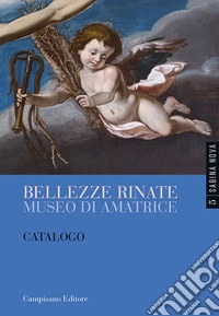 Bellezze rinate. Museo di Amatrice. Catalogo libro