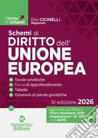 Schemi di diritto dell'Unione Europea 2026 libro