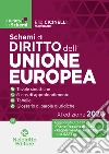 Schemi di diritto dell'Unione Europea 2026 libro