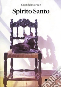 Spirito santo libro