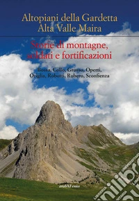 Altipiani della Gardetta. Alta Valle Maira. Storie di montagne, soldati e fortificazioni libro