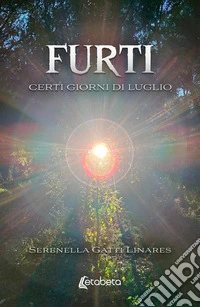 Furti. Certi giorni di luglio libro