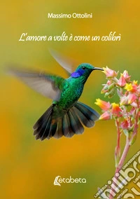 L'amore a volte è come un colibrì libro