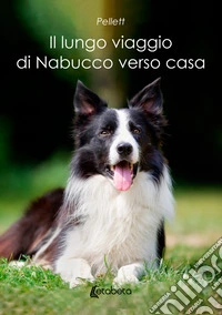 Il lungo viaggio di Nabucco verso casa