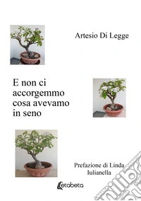 E non ci accorgemmo cosa avevamo in seno