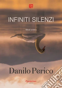 Infiniti silenzi