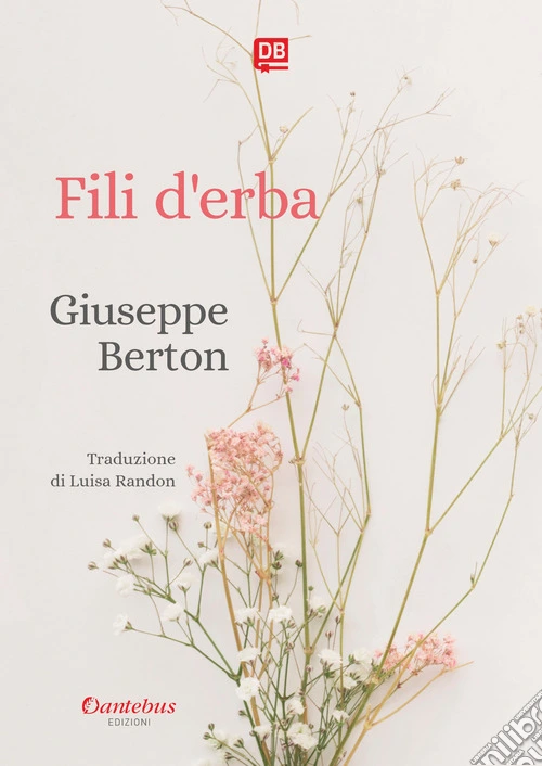 Fili d'erba
