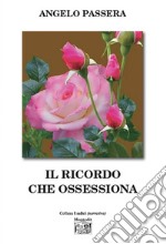 Il ricordo che ossessiona libro