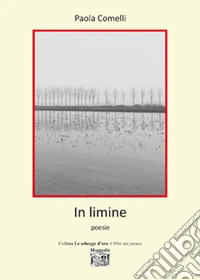 In limine