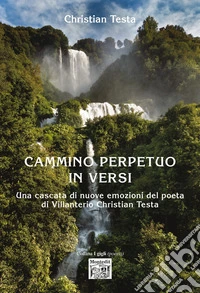 Cammino perpetuo in versi libro