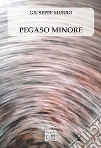 Pegaso minore libro