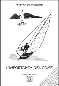 L'importanza del come libro
