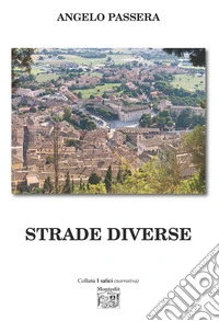 Strade diverse libro