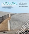 Colore. Fotografia italiana a colori dalla collezione Rita e Riccardo Marone. Ediz. illustrata libro di Madesani A. (cur.)