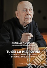 «Tu sei la mia rovina». Seguendo gli insegnamenti di don Gabriele Amorth libro