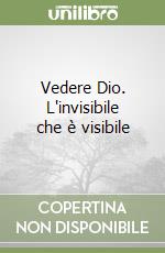 Vedere Dio. L'invisibile che è visibile libro