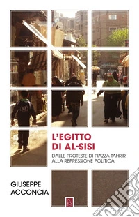 L'Egitto di al-Sisi. Dalle proteste di piazza Tahrir alla repressione politica libro