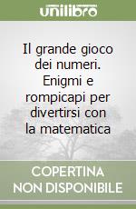 Il grande gioco dei numeri. Enigmi e rompicapi per divertirsi con la matematica libro