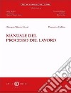 Manuale del processo del lavoro libro