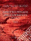 Diritto penale dell'ambiente libro