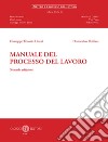 Manuale del processo del lavoro. Nuova ediz. libro