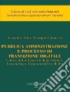 Pubblica amministrazione e processo di transizione digitale. Come cambia il governo, la governance, l'accounting e l'accountability nelle PA libro