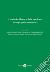 Il territorio alla prova delle transizioni. Strategie per la sostenibilità libro