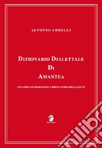 Dizionario dialettale di Amantea con ampia introduzione e breve storia della città libro