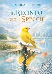 Il recinto degli specchi libro