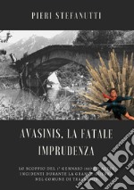 Avasinis, la fatale imprudenza. Lo scoppio del 1° gennaio 1917 ed altri incidenti durante la Grande Guerra nel comune di Trasaghis libro