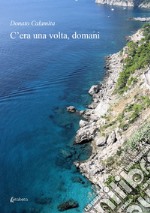 C'era una volta, domani libro