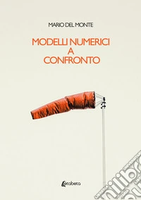 Modelli numerici a confronto