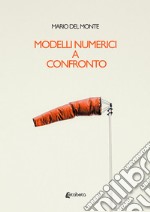 Modelli numerici a confronto libro