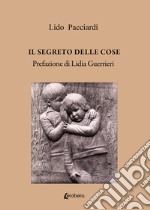 Il segreto delle cose libro