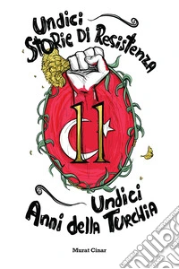 Undici storie di resistenza, undici anni della Turchia libro