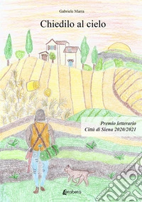 Chiedilo al cielo libro