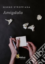 Amigdala